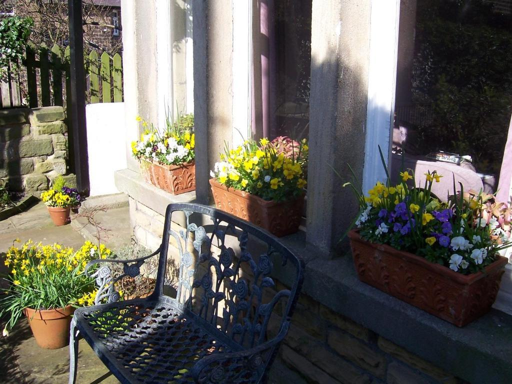 Spring Lodge ハロゲート エクステリア 写真